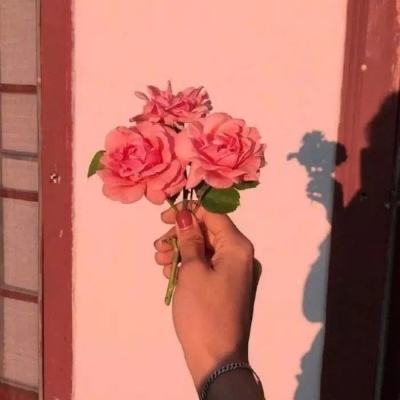 七境测试服下载